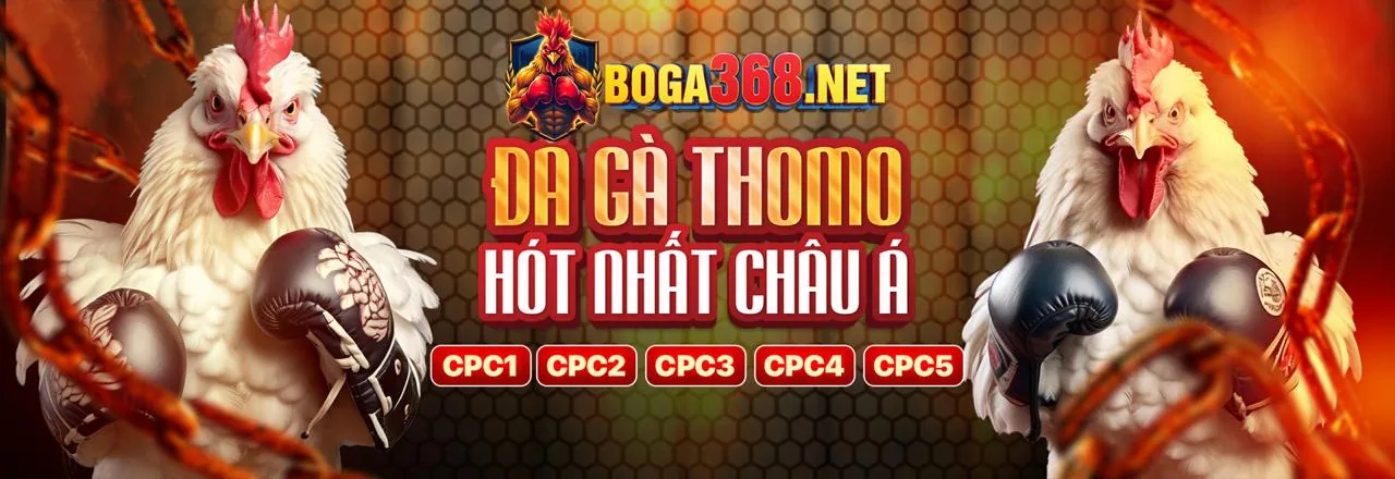 Giao diện đặt cược đá gà trực tuyến thân thiện và dễ sử dụng tại pk8998 nhà cái