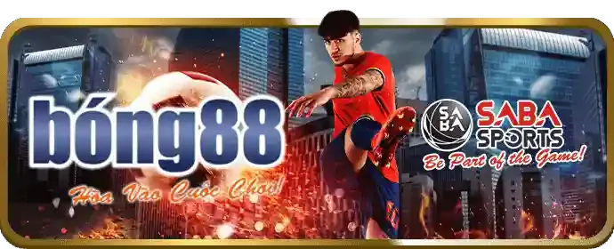 Hướng dẫn cá cược thể thao pk8998 nhà cái